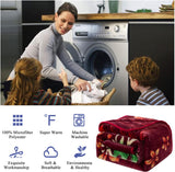 JYK Silky Soft Plush Warm Blanket - 1 Ply-peacock