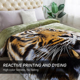 JYK Silky Soft Plush Warm Blanket - 1 Ply-tiger